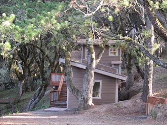 Woodside Treehouse Overview